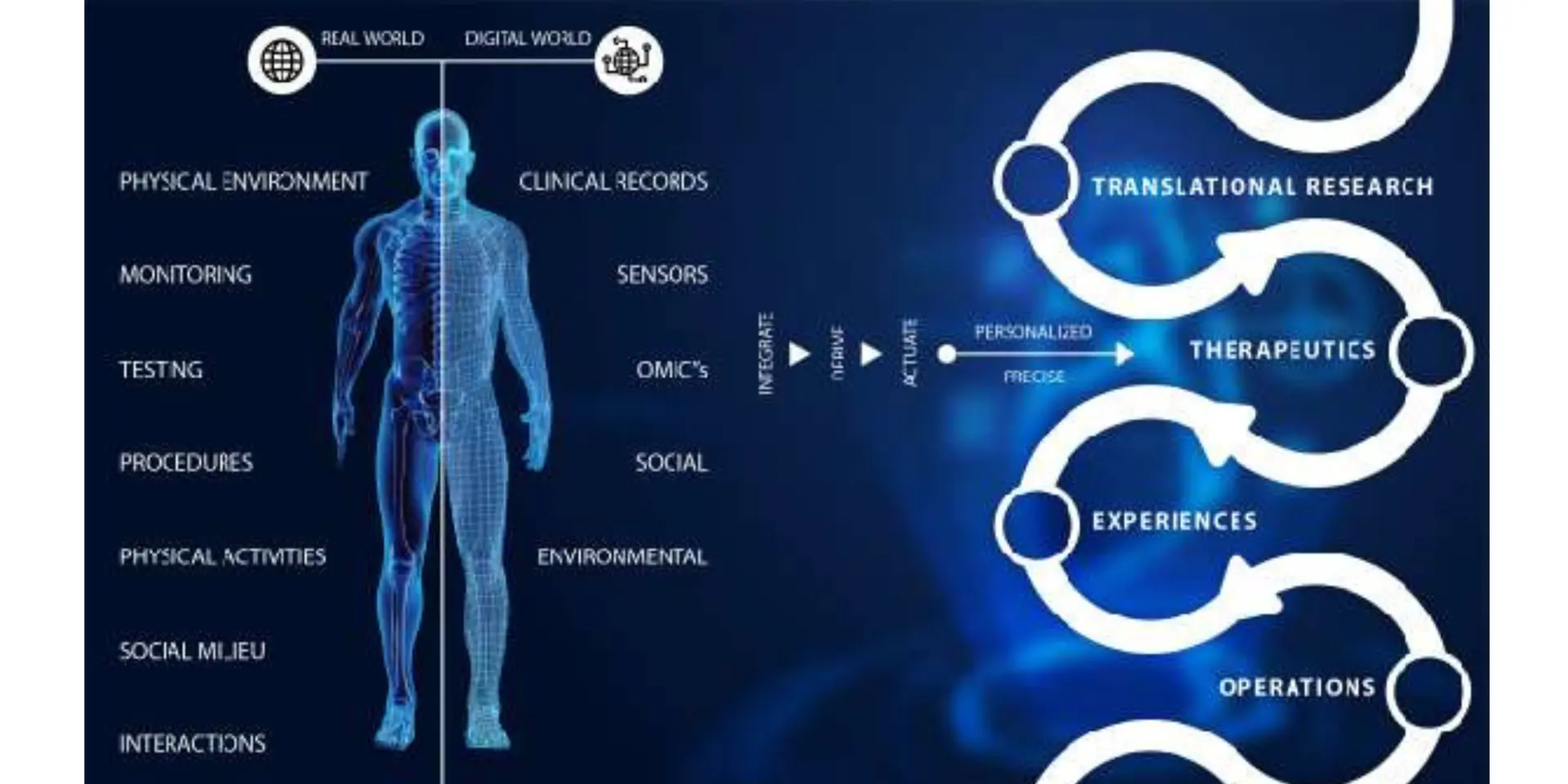 Digital Twins in Healthcare: Revolutionizing Patient Care and Medical Innovation